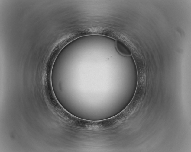 X0000112880587200909041643