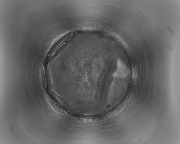 X0000112880588200909041643