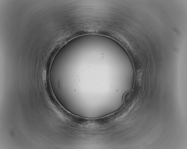 X0000112880589200909041643