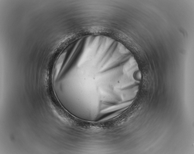 X0000112880592200909041643