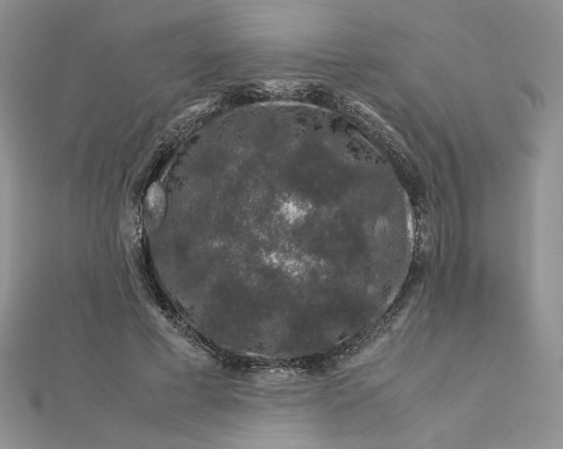 X0000112880593200909041643