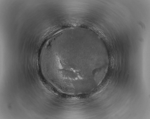 X0000112880594200909041643