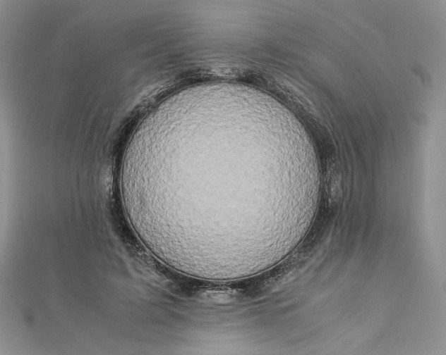 X0000112880595200909041643