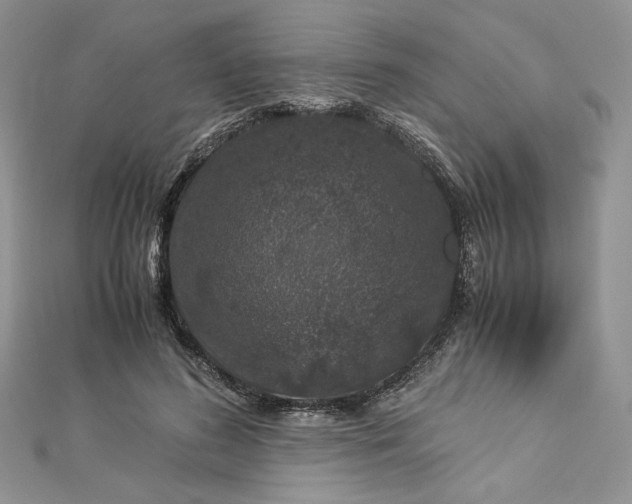 X0000112880596200909041643