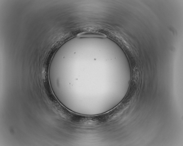 X0000112880597200909041643