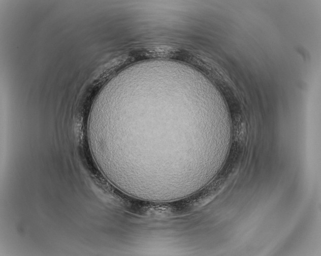 X0000112880599200909041642