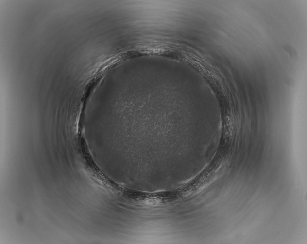 X0000112880600200909041642