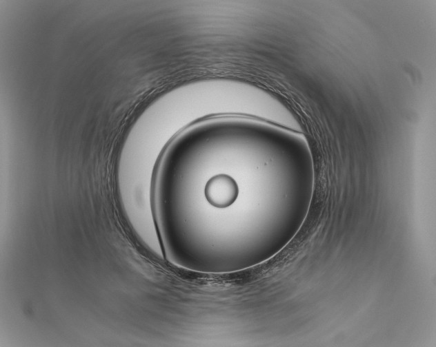 X0000112880601200909041642