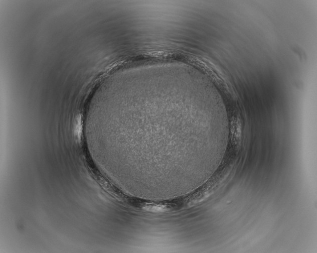 X0000112880602200909041642