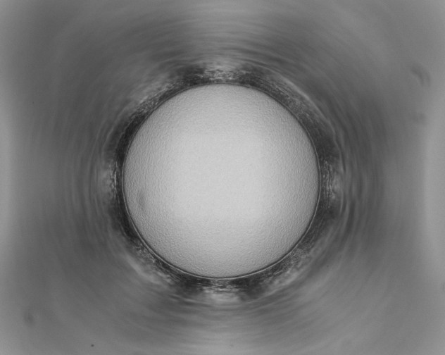 X0000112880603200909041642