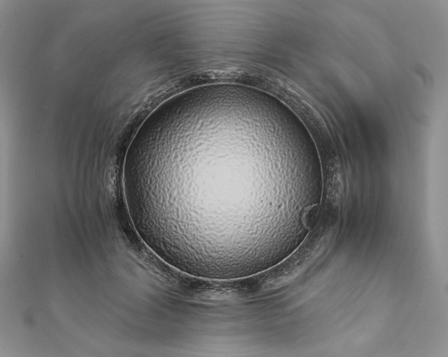 X0000112880604200909041642