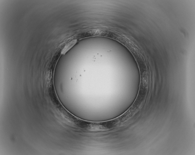 X0000112880605200909041642