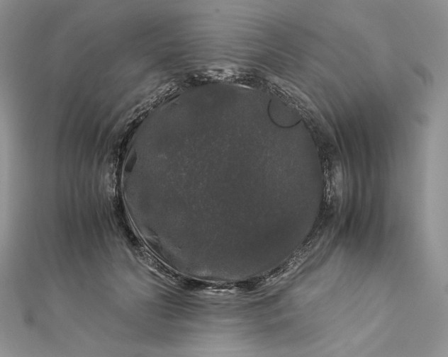 X0000112880606200909041642