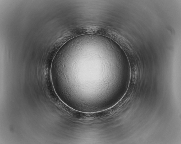 X0000112880608200909041642