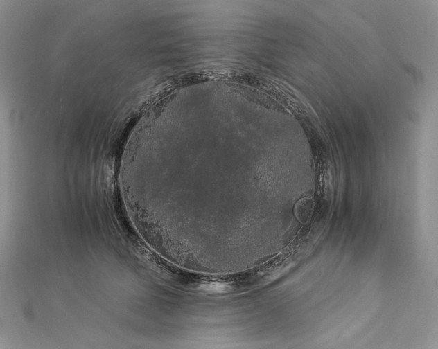 X0000112880610200909041642