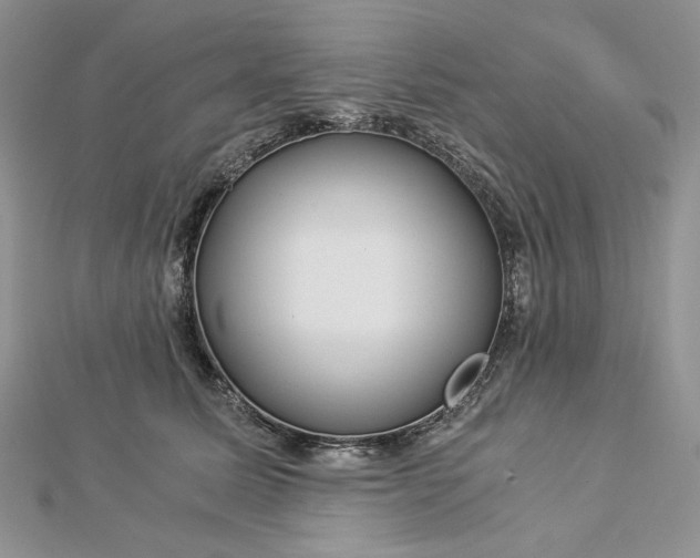 X0000112880611200909041642