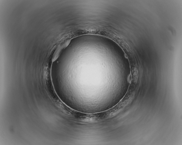 X0000112880612200909041642