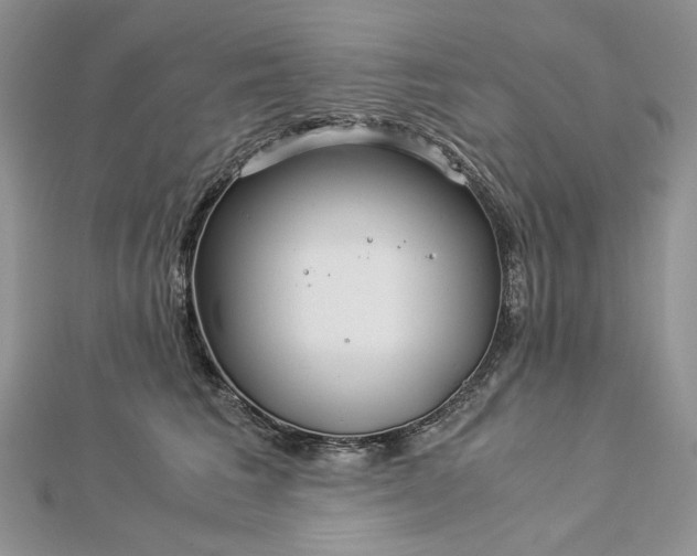 X0000112880613200909041642