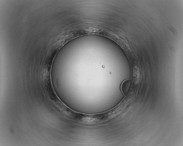 X0000112880614200909041642