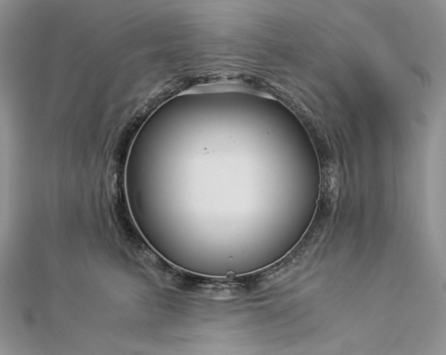 X0000112880615200909041642