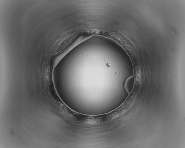 X0000112880616200909041642