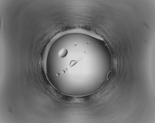 X0000112880617200909041642