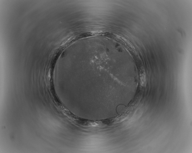 X0000112880618200909041642