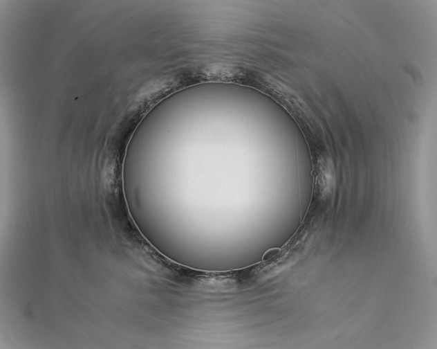 X0000112880619200909041642