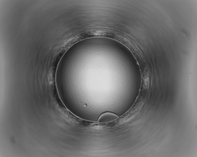 X0000112880620200909041642