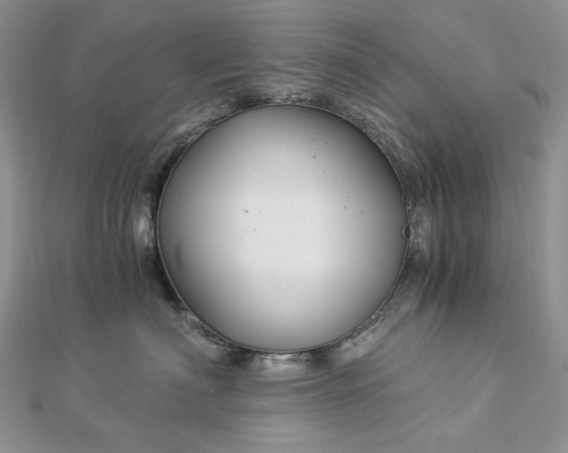 X0000112880622200909041642