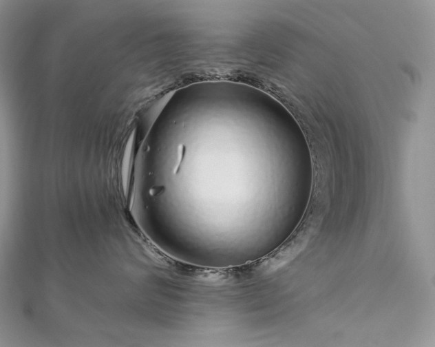 X0000112880624200909041642