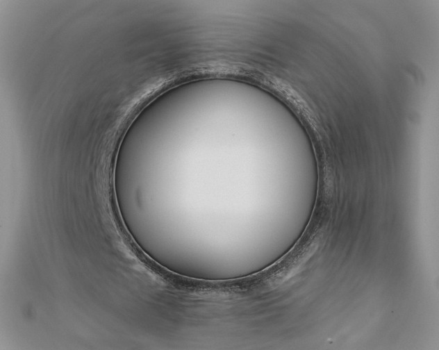 X0000112880625200909041642