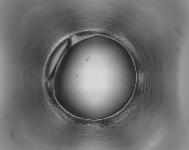 X0000112880628200909041642