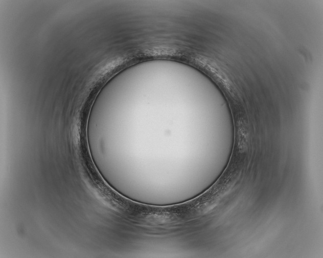 X0000112880631200909041642