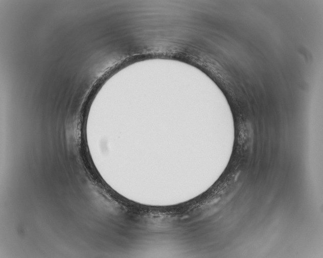 X0000112880632200909041642