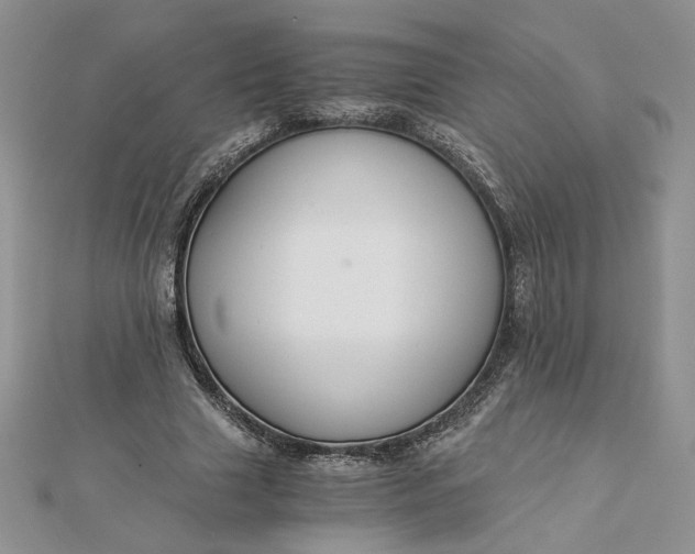 X0000112880633200909041642