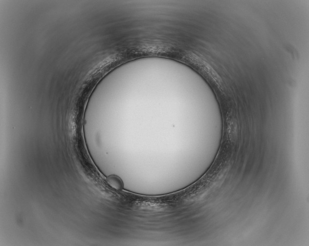 X0000112880635200909041642