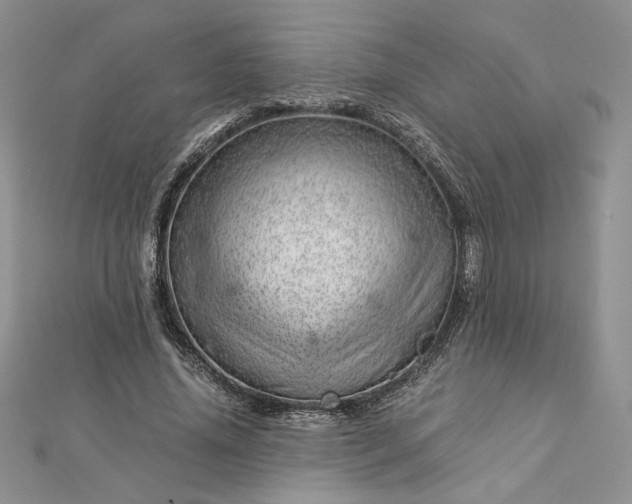 X0000112880636200909041642