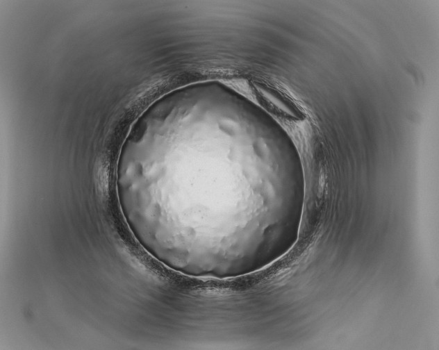 X0000112880637200909041642