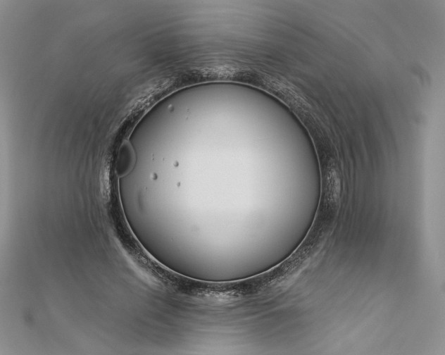 X0000112880638200909041642