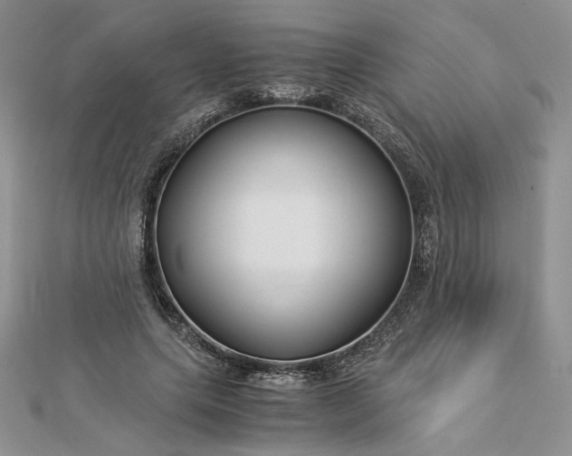 X0000112880639200909041642