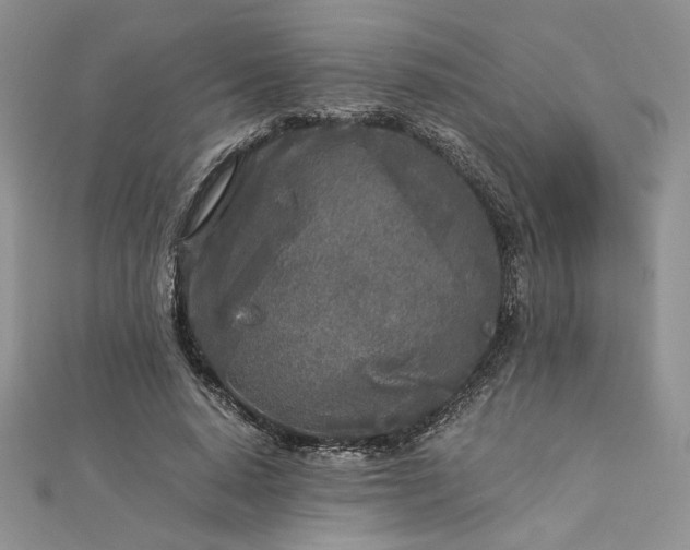 X0000112880640200909041642