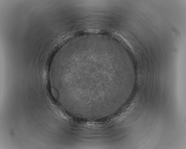 X0000112880641200909041642