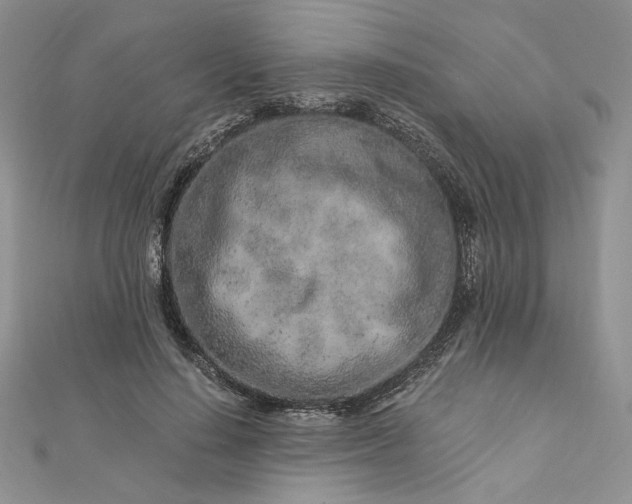 X0000112880644200909041642