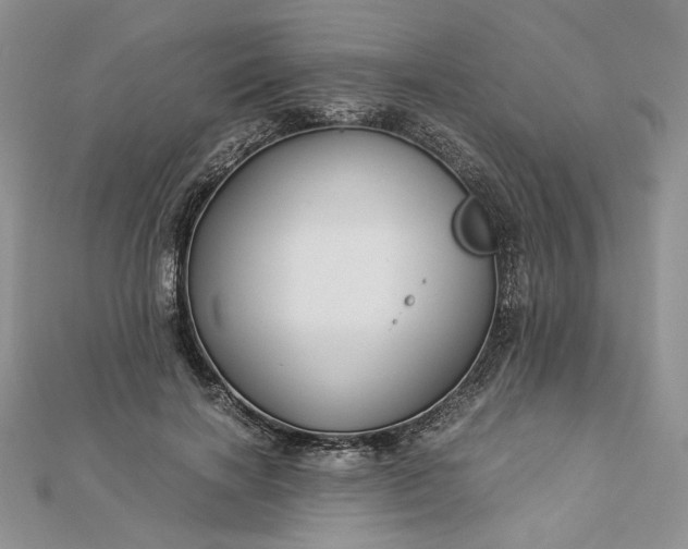 X0000112880646200909041642