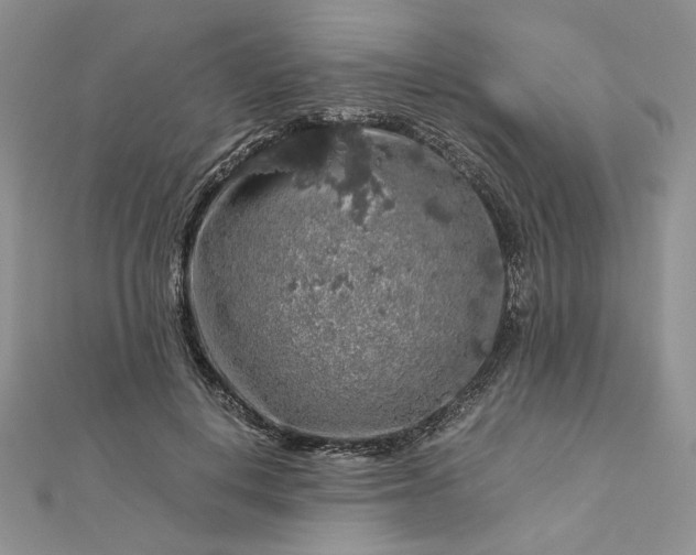 X0000112880648200909041642