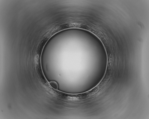 X0000112880649200909041642