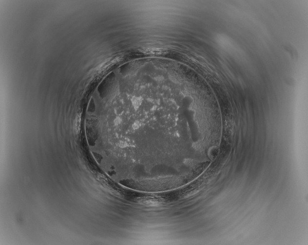 X0000112880652200909041642