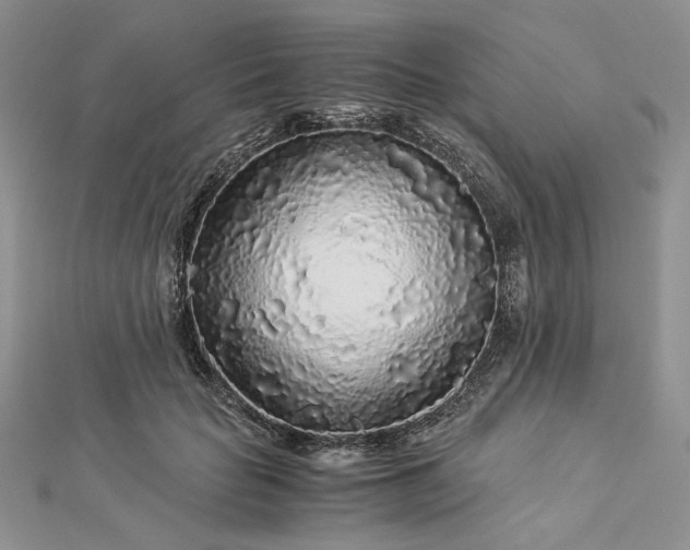 X0000112880653200909041642