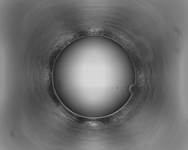 X0000112880654200909041642